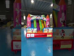 SGS commerciële opblaasbare waterslippen Cartoon thematisch Baby Bounce House Blow Up Jump House
