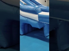Commerciële buitengigant opblaasbare waterslide Octopus Cartoon opblaasbare waterslide