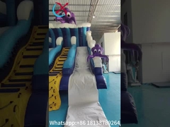 Deze nieuwe opblaasbare droge dubbele glijbaan met octopus-thema biedt een leuke en unieke spelbeleving.