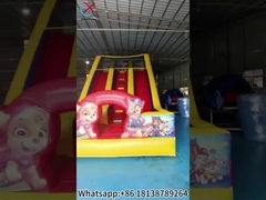 Opblaasbare PAW patrouille glijbaan Grote opblaasbare dubbele droge glijbaan