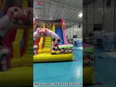 Opblaasbare glijbaan Mickey en Minnie Opblaasbare dubbele droge glijbaan Kasteel