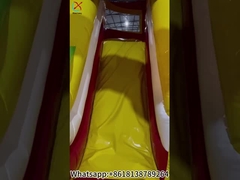 De dierentuin opblaasbare Fun City opblaasbare Bouncy House Slide Castle