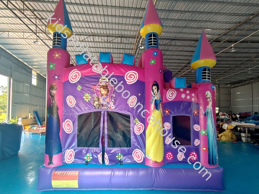 Commercieel nieuw ontwerp opblaasbaar kasteel Disney Prinses Cartoon opblaasbaar springhuis met dia Grappig springhuis